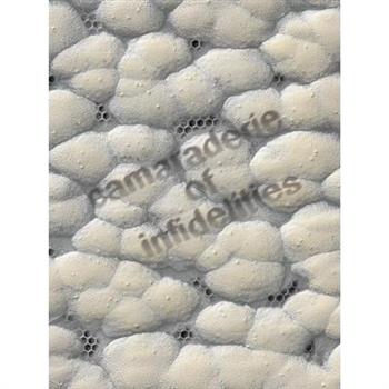 Camaraderie of Infidelities