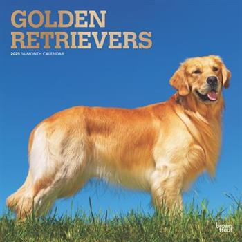 Golden Retrievers 2025 12 X 24 Inch Monthly Square Wall Calendar Foil Stamped Cover Plastic-Free Golden Retrievers 2025 12 X 24 Inch Monthly Square Wall Calendar Foil Stamped Cover Plastic-Free