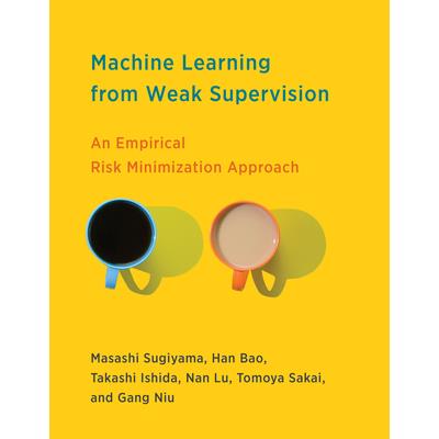Machine Learning from Weak Supervision