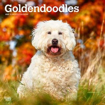 Goldendoodles 2025 12 X 24 Inch Monthly Square Wall Calendar Plastic-Free Goldendoodles 2025 12 X 24 Inch Monthly Square Wall Calendar Plastic-Free
