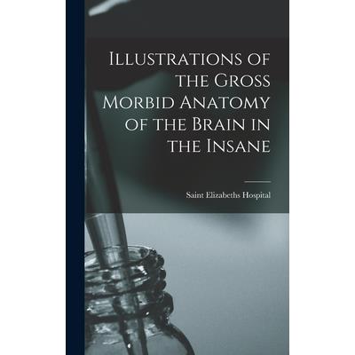 Illustrations of the Gross Morbid Anatomy of the Brain in the Insane