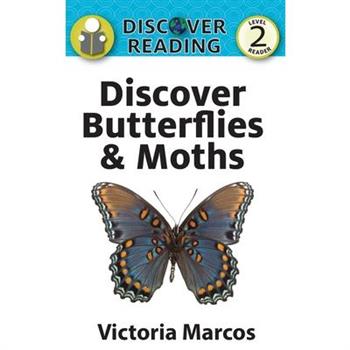 Discover Butterflies & Moths