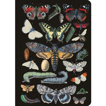 Vintage Butterflies Journal / Notebook / Diary - Lined Pages