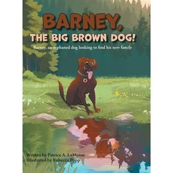 Barney, The Big Brown Dog!