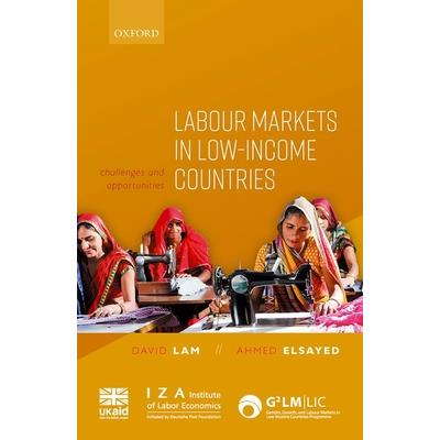 Labour Markets in Low-Income Countries