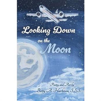 Looking down on the Moon