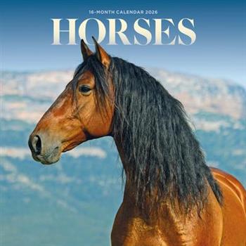 2026 Horses Mini Wall Calendar