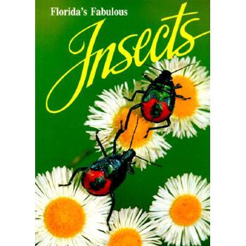 Florida’s Fabulous Insects