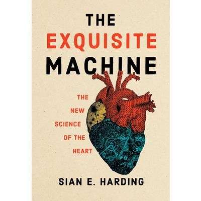 The Exquisite Machine