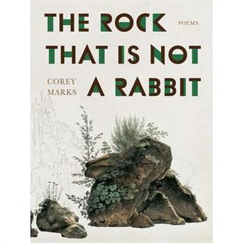The Rock That Is Not a Rabbit
