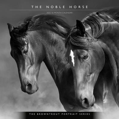 The Browntrout Portrait Series: The Noble Horse 2025 12 X 24 Inch Monthly Square Wall Calendar Plastic-Free The Browntrout Portrait Series: The Noble Horse 2025 12 X 24 Inch Monthly Square Wall Calendar Plastic-Free