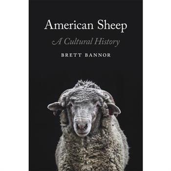 American Sheep