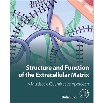 Structure and Function of the Extracellular Matrix