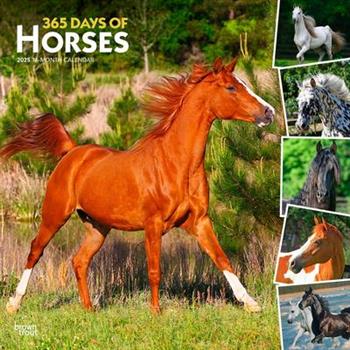 365 Days of Horses 2025 12 X 24 Inch Monthly Square Wall Calendar Plastic-Free 365 Days of Horses 2025 12 X 24 Inch Monthly Square Wall Calendar Plastic-Free