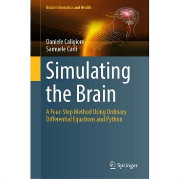 Simulating the Brain