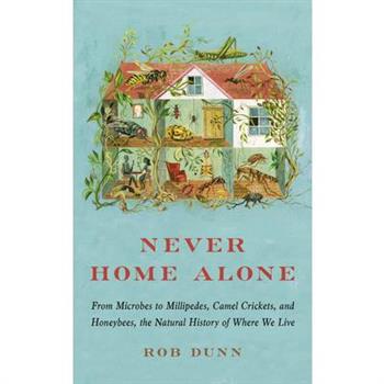 Never Home Alone