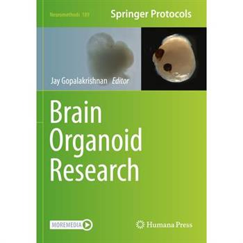 Brain Organoid Research