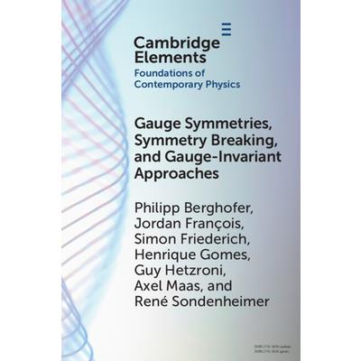 Gauge Symmetries, Symmetry Breaking, and Gauge-Invariant Approaches