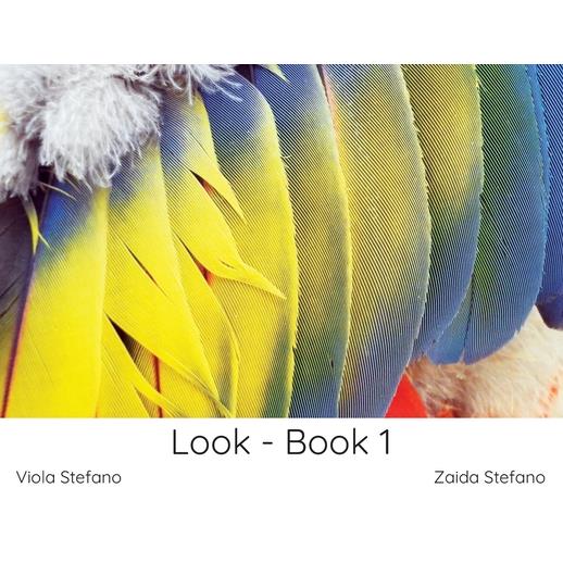 Look - Book 1