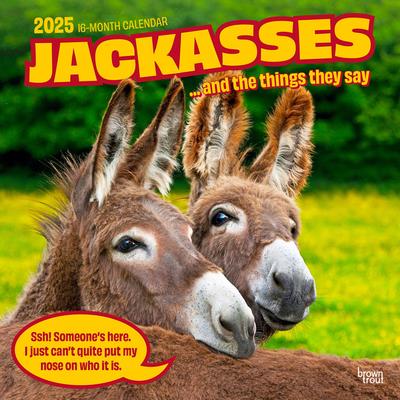Jackasses 2025 12 X 24 Inch Monthly Square Wall Calendar Plastic-Free Jackasses 2025 12 X 24 Inch Monthly Square Wall Calendar Plastic-Free