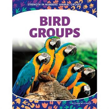 Bird Groups