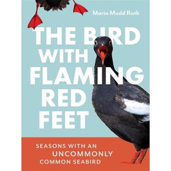 The Bird with Flaming Red Feet