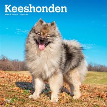 Keeshonden 2025 12 X 24 Inch Monthly Square Wall Calendar Plastic-Free Keeshonden 2025 12 X 24 Inch Monthly Square Wall Calendar Plastic-Free