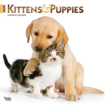 Kittens & Puppies 2025 12 X 24 Inch Monthly Square Wall Calendar Foil Stamped Cover Plastic-Free Kittens & Puppies 2025 12 X 24 Inch Monthly Square Wall Calendar Foil Stamped Cover Plastic-Free