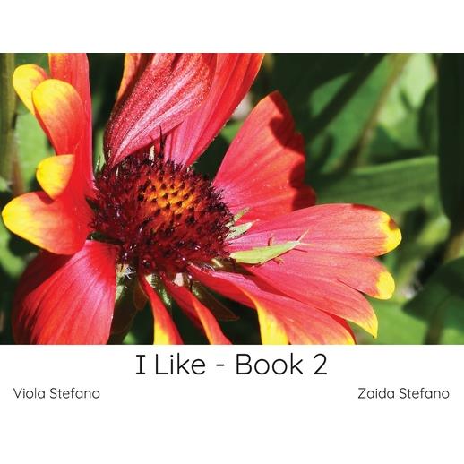I Like - Book 2