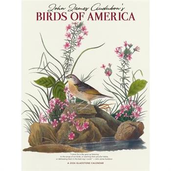 Audubon's Birds of America DLX