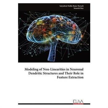 Modeling of Non-Linearities in Neuronal Dendritic Structures and Their Role in Feature Extraction