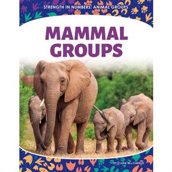 Mammal Groups