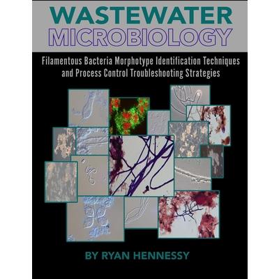 Wastewater Microbiology, Filamentous Bacteria Morphotype Identification Techniques, and Process Control Troubleshooting Strategies