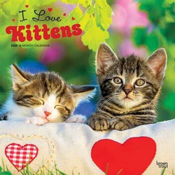 I Love Kittens 2025 12 X 24 Inch Monthly Square Wall Calendar Plastic-Free I Love Kittens 2025 12 X 24 Inch Monthly Square Wall Calendar Plastic-Free