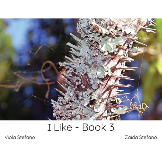 I Like - Book 3
