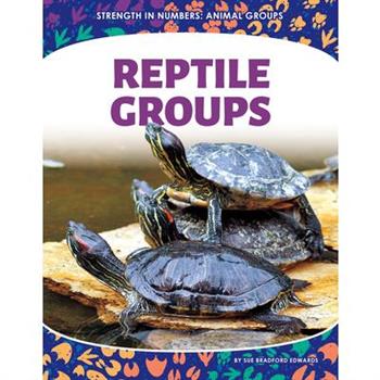 Reptile Groups