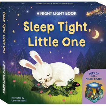 Sleep Tight, Little One: A Night Light Book