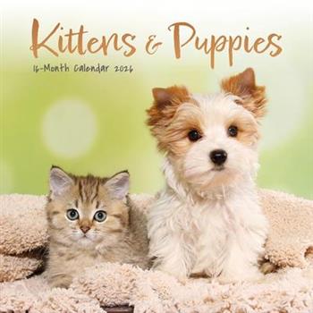 Kittens & Puppies