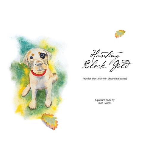 Hunting Black Gold (truffles don't come in chocolate boxes)