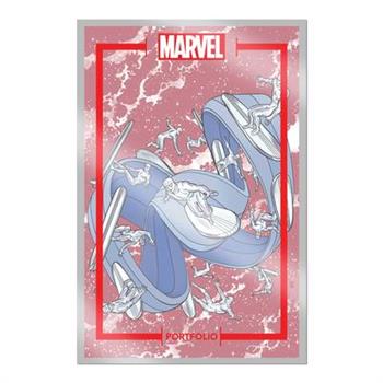The Marvel Portfolio of Michael Allred - Silver Surfer