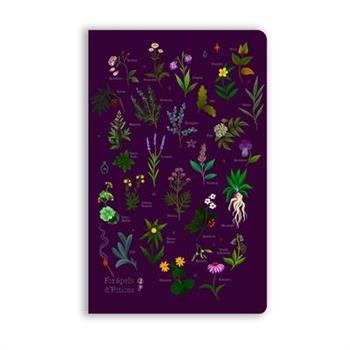 Anna Stead: For Spells & Potions (Soft Touch Journal)