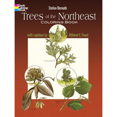 Trees of the Northeast Coloring Book
