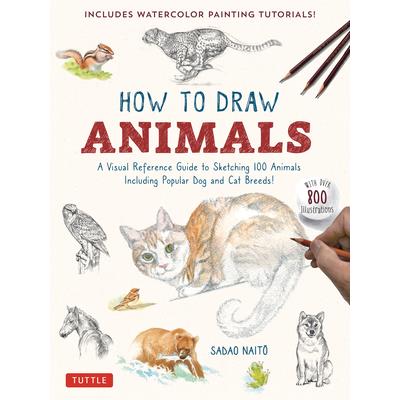 How to Draw Animals