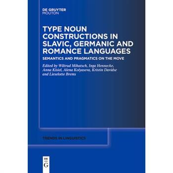Type Noun Constructions in Slavic, Germanic and Romance Languages