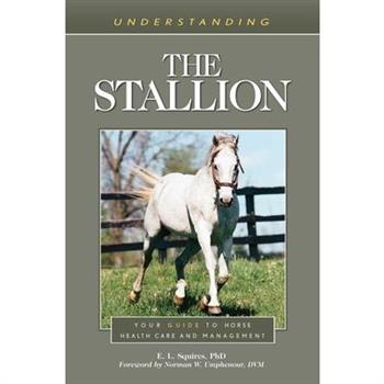 Understanding the Stallion