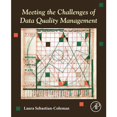 Meeting the Challenges of Data Quality Management