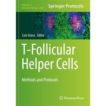 T-Follicular Helper Cells