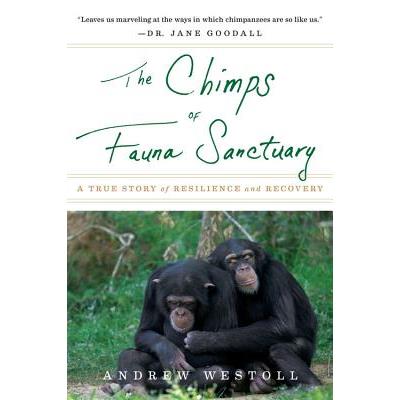 The Chimps of Fauna Sanctuary