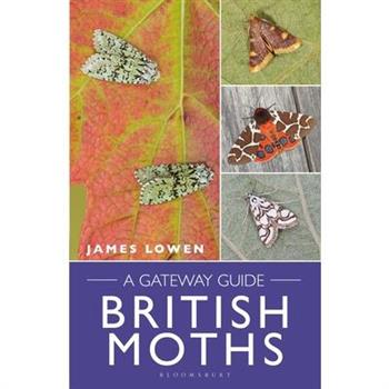 British Moths