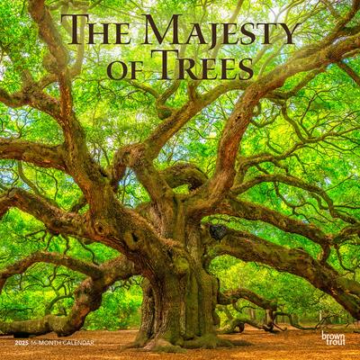 The Majesty of Trees 2025 12 X 24 Inch Monthly Square Wall Calendar Plastic-Free The Majesty of Trees 2025 12 X 24 Inch Monthly Square Wall Calendar Plastic-Free